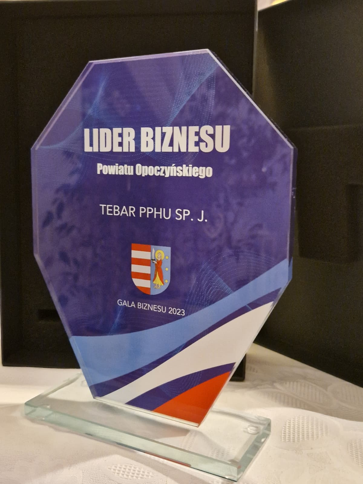 TEBAR Lider Biznesu 2023 - nagroda za najlepszą firmę instalacyjną pompy ciepła kotły Opoczno